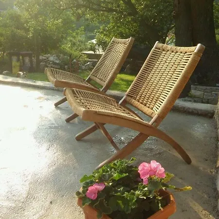 Homes Mirjana *